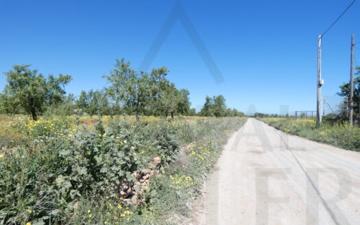 Parcela Rústica en Paraje El Toledano – La Magdalena